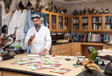 Behind the Scenes With the World's Top Feather Detective